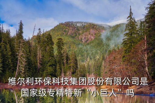  維爾利環(huán)?？萍技瘓F(tuán)股份有限公司是國(guó)家級(jí)專精特新“小巨人”嗎