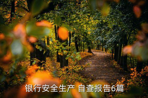  銀行安全生產 自查報告6篇