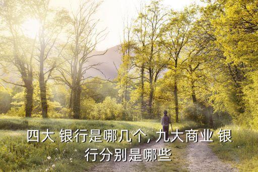 四大 銀行是哪幾個, 九大商業(yè) 銀行分別是哪些