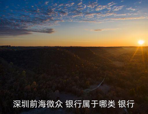 民營(yíng)銀行第一家,國(guó)內(nèi)民營(yíng)銀行最好是哪一家