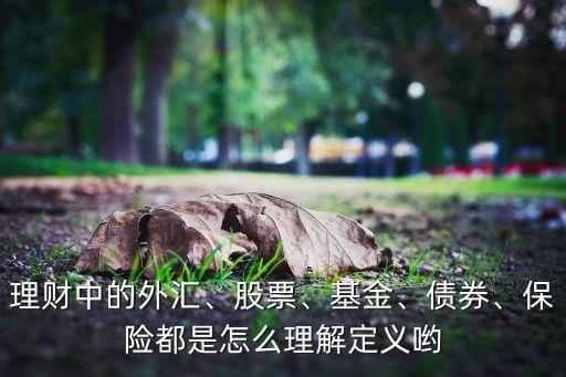 理財(cái)中的外匯、股票、基金、債券、保險(xiǎn)都是怎么理解定義喲