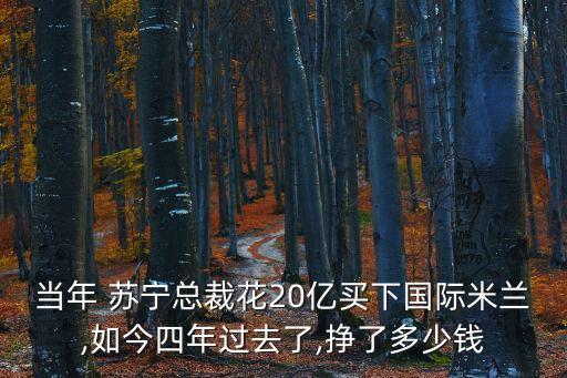 當(dāng)年 蘇寧總裁花20億買下國(guó)際米蘭,如今四年過(guò)去了,掙了多少錢