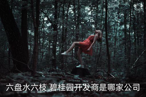 六盤(pán)水六枝 碧桂園開(kāi)發(fā)商是哪家公司