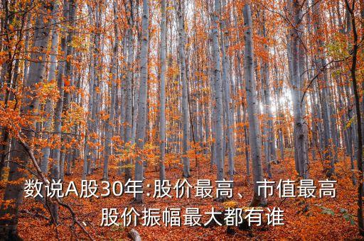 數(shù)說A股30年:股價(jià)最高、市值最高、股價(jià)振幅最大都有誰