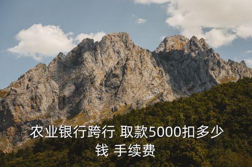  農(nóng)業(yè)銀行跨行 取款5000扣多少錢(qián) 手續(xù)費(fèi)