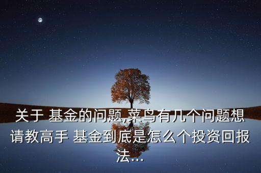 關(guān)于 基金的問題,菜鳥有幾個(gè)問題想請教高手 基金到底是怎么個(gè)投資回報(bào)法...