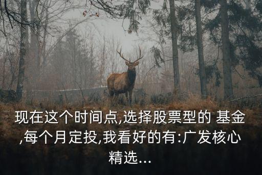 現(xiàn)在這個時間點(diǎn),選擇股票型的 基金,每個月定投,我看好的有:廣發(fā)核心精選...