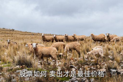  股票如何 賣(mài)出才是最佳價(jià)格