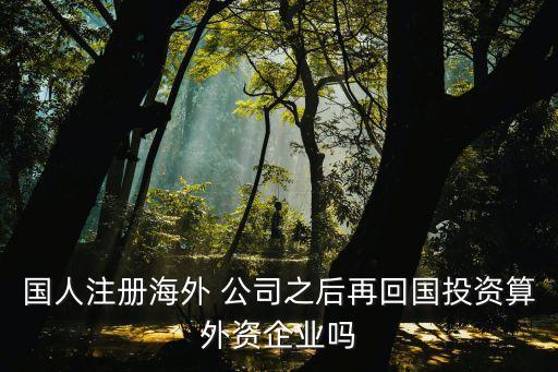國人注冊(cè)海外 公司之后再回國投資算外資企業(yè)嗎