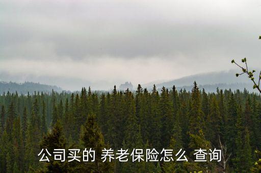公司買(mǎi)的 養(yǎng)老保險(xiǎn)怎么 查詢(xún)