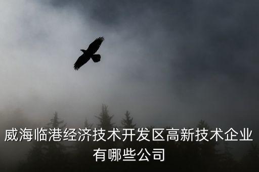 威海臨港經(jīng)濟(jì)技術(shù)開(kāi)發(fā)區(qū)高新技術(shù)企業(yè)有哪些公司