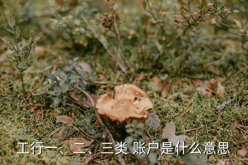 工行一、二、三類 賬戶是什么意思