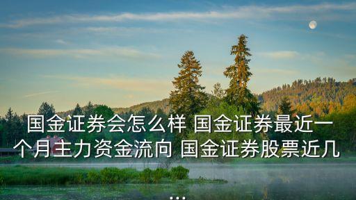  國(guó)金證券會(huì)怎么樣 國(guó)金證券最近一個(gè)月主力資金流向 國(guó)金證券股票近幾...