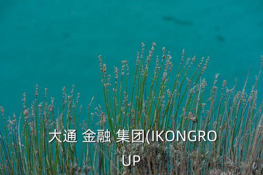  大通 金融 集團(tuán)(IKONGROUP