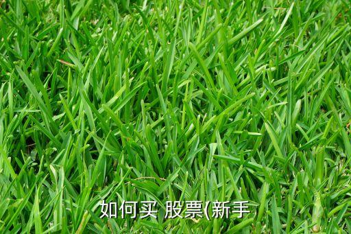 如何買 股票(新手