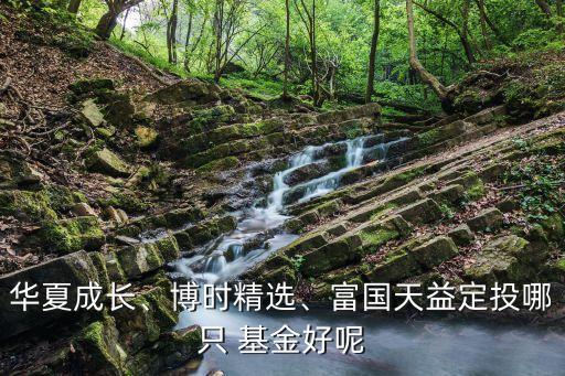 華夏成長、博時精選、富國天益定投哪只 基金好呢
