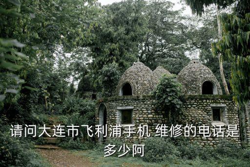 請(qǐng)問(wèn)大連市飛利浦手機(jī) 維修的電話(huà)是多少阿