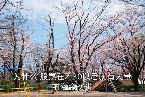為什么 股票在2:30以后就有大量的資金買進