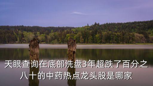 天眼查詢?cè)诘撞肯幢P3年超跌了百分之八十的中藥熱點(diǎn)龍頭股是哪家