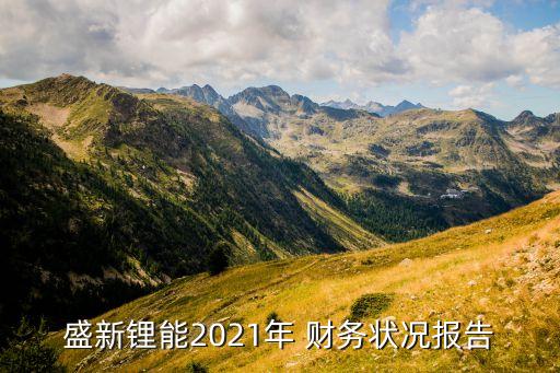 盛新鋰能2021年 財務狀況報告
