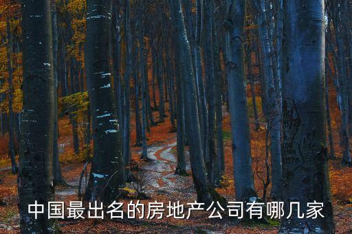 中國最出名的房地產公司有哪幾家