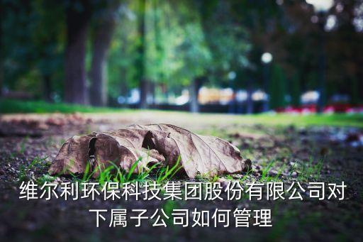  維爾利環(huán)?？萍技瘓F(tuán)股份有限公司對(duì)下屬子公司如何管理