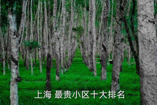 上海哪個(gè)地區(qū)房?jī)r(jià)最貴,上海和北京哪個(gè)房?jī)r(jià)貴