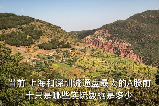 當(dāng)前 上海和深圳流通盤(pán)最大的A股前十只是哪些實(shí)際數(shù)據(jù)是多少