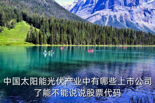 中國太陽能光伏產業(yè)中有哪些上市公司了能不能說說股票代碼