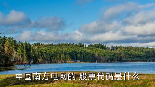中國南方電網(wǎng)的 股票代碼是什么