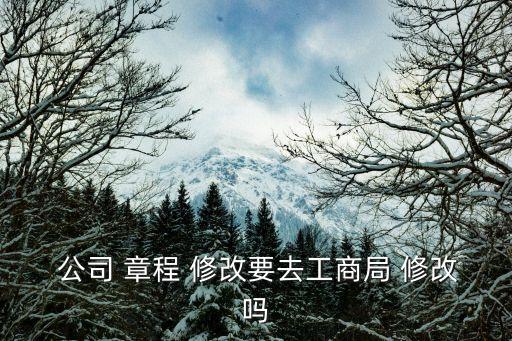 修改公司章程公告,關于修改公司章程的決議、決定