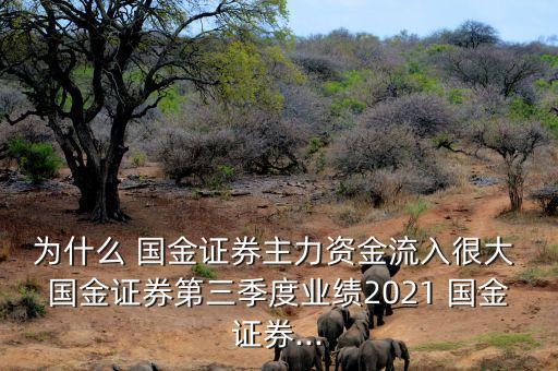 國(guó)金證券股份有限公司財(cái)務(wù)分析,上海國(guó)金證券股份有限公司