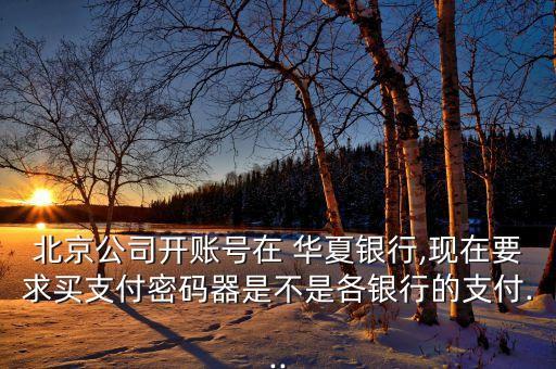 北京公司開賬號在 華夏銀行,現(xiàn)在要求買支付密碼器是不是各銀行的支付...