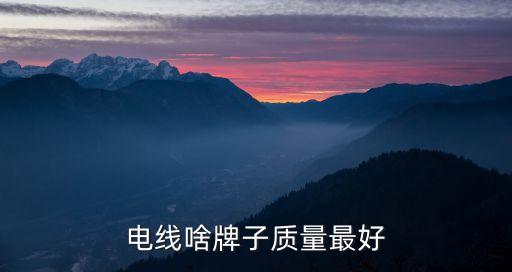 電線啥牌子質(zhì)量最好