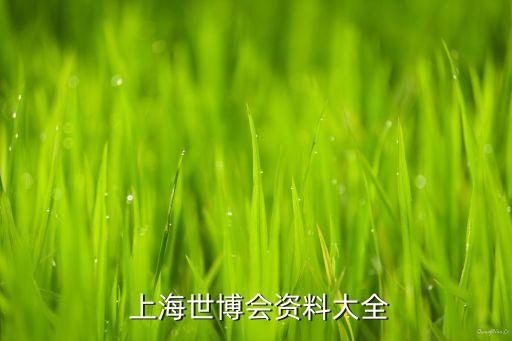上海浪花投資有限公司,上海中見投資有限公司怎么樣