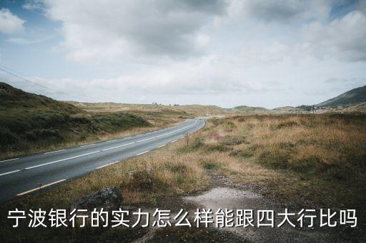 寧波銀行的實力怎么樣能跟四大行比嗎