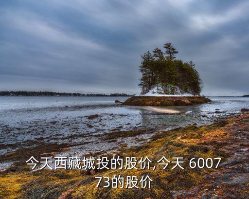 股票600773現價,600773 西藏城投股票吧