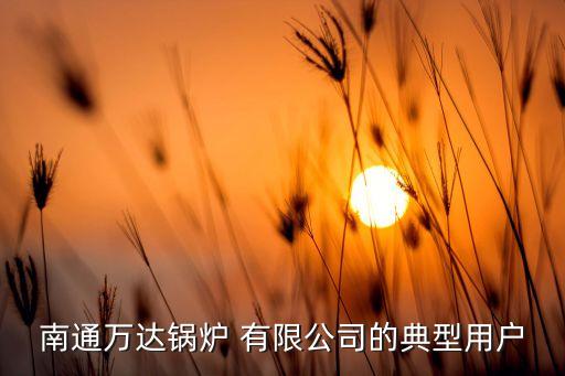 南通萬達鍋爐 有限公司的典型用戶