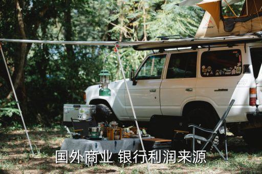 銀行是怎么盈利的,我想開(kāi)一家銀行需要多少錢