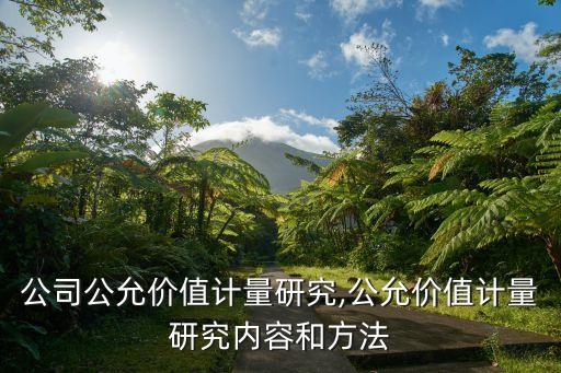 制藥公司公允價值計量研究,公允價值計量研究內容和方法