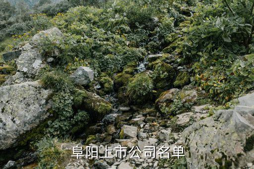  阜陽(yáng)上市公司名單