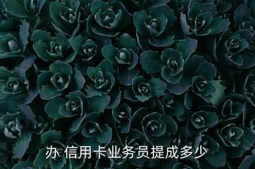 辦 信用卡業(yè)務員提成多少