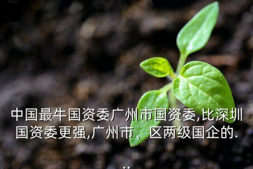中國(guó)最牛國(guó)資委廣州市國(guó)資委,比深圳國(guó)資委更強(qiáng),廣州市、區(qū)兩級(jí)國(guó)企的...