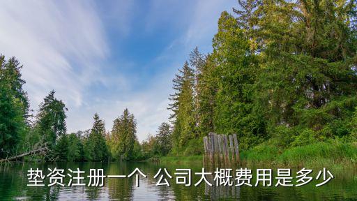  墊資注冊一個 公司大概費(fèi)用是多少