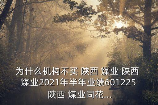 為什么機(jī)構(gòu)不買 陜西 煤業(yè) 陜西 煤業(yè)2021年半年業(yè)績(jī)601225 陜西 煤業(yè)同花...