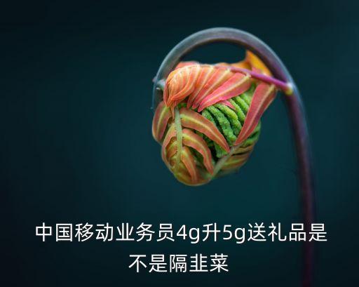  中國移動業(yè)務員4g升5g送禮品是不是隔韭菜