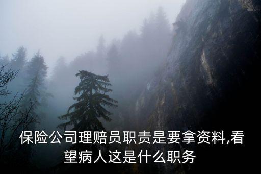  保險(xiǎn)公司理賠員職責(zé)是要拿資料,看望病人這是什么職務(wù)