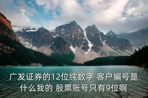 廣發(fā)證券的12位純數字 客戶編號是什么我的 股票賬號只有9位啊
