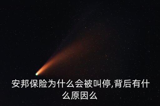 安邦集團(tuán)董事長,安邦護(hù)衛(wèi)集團(tuán)董事長