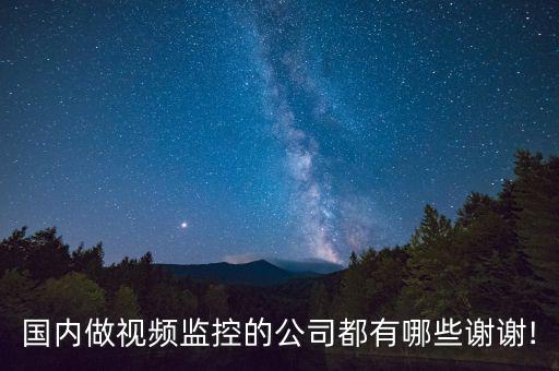 國內做視頻監(jiān)控的公司都有哪些謝謝!